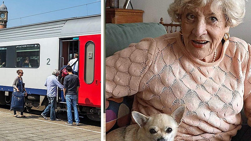 De volgende stap is de deurwaarder: Nicole (80) weigert boete te betalen  voor chihuahua op de trein en eist excuses van de NMBS | Nieuwsblad